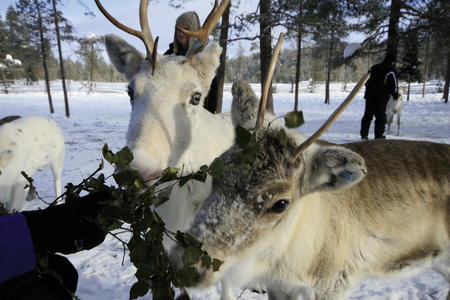 Tierischer Winterspass