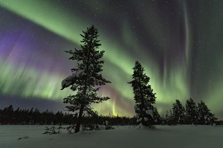 Polarlichtreisen