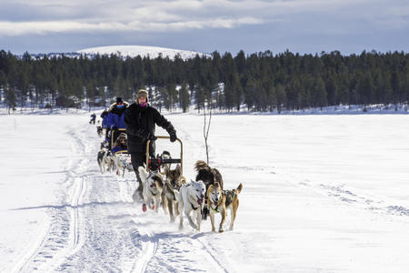 Mit dem Huskyschlitten durch die Natur
