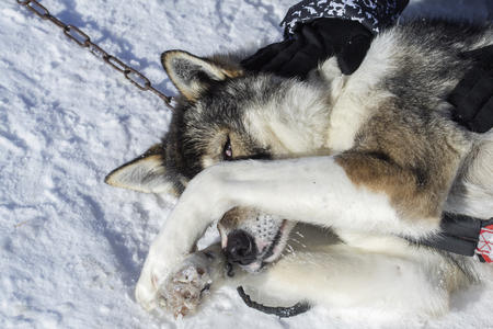  Ruhepause in der Wintersonne
