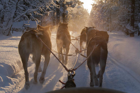 Ausruestungsliste Huskytour