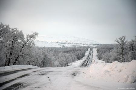 vereiste Straße