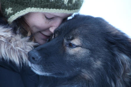 Was zeichnet eine gute Huskyfarm aus?